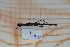  ( - Ph88)  @11 [ ] No Rights Reserved  Unspecified Unspecified