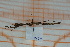  ( - Ph91)  @11 [ ] No Rights Reserved  Unspecified Unspecified