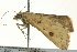  ( - BIOUG02250-F11)  @13 [ ] CreativeCommons - Attribution (2012) CBG Photography Group Centre for Biodiversity Genomics