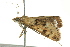  ( - BIOUG02250-H06)  @13 [ ] CreativeCommons - Attribution (2012) CBG Photography Group Centre for Biodiversity Genomics