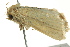  ( - BIOUG02251-B11)  @12 [ ] CreativeCommons - Attribution (2012) CBG Photography Group Centre for Biodiversity Genomics