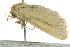  ( - BIOUG02251-C09)  @12 [ ] CreativeCommons - Attribution (2012) CBG Photography Group Centre for Biodiversity Genomics
