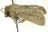  ( - BIOUG02251-G11)  @13 [ ] CreativeCommons - Attribution (2012) CBG Photography Group Centre for Biodiversity Genomics