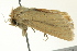  ( - BIOUG02252-A02)  @13 [ ] CreativeCommons - Attribution (2012) CBG Photography Group Centre for Biodiversity Genomics