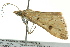  ( - BIOUG02252-E11)  @13 [ ] CreativeCommons - Attribution (2012) CBG Photography Group Centre for Biodiversity Genomics