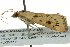  ( - BIOUG02252-F03)  @13 [ ] CreativeCommons - Attribution (2012) CBG Photography Group Centre for Biodiversity Genomics