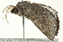  ( - BIOUG02253-A09)  @12 [ ] CreativeCommons - Attribution (2012) CBG Photography Group Centre for Biodiversity Genomics