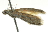  ( - BIOUG02181-H03)  @12 [ ] CreativeCommons - Attribution (2012) CBG Photography Group Centre for Biodiversity Genomics