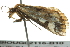  ( - BIOUG02116-B10)  @12 [ ] CreativeCommons - Attribution (2012) CBG Photography Group Centre for Biodiversity Genomics