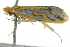  ( - BIOUG02116-F02)  @13 [ ] CreativeCommons - Attribution (2012) CBG Photography Group Centre for Biodiversity Genomics