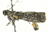  ( - BIOUG02116-G11)  @12 [ ] CreativeCommons - Attribution (2012) CBG Photography Group Centre for Biodiversity Genomics