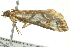  ( - BIOUG02117-A06)  @13 [ ] CreativeCommons - Attribution (2012) CBG Photography Group Centre for Biodiversity Genomics