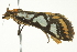  ( - BIOUG02117-A08)  @12 [ ] CreativeCommons - Attribution (2012) CBG Photography Group Centre for Biodiversity Genomics