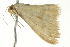  ( - BIOUG02117-G11)  @13 [ ] CreativeCommons - Attribution (2012) CBG Photography Group Centre for Biodiversity Genomics