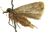  ( - BIOUG02117-H01)  @13 [ ] CreativeCommons - Attribution (2012) CBG Photography Group Centre for Biodiversity Genomics
