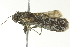  ( - BIOUG02119-E08)  @12 [ ] CreativeCommons - Attribution (2012) CBG Photography Group Centre for Biodiversity Genomics