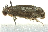  ( - BIOUG02120-C08)  @12 [ ] CreativeCommons - Attribution (2012) CBG Photography Group Centre for Biodiversity Genomics