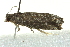  ( - BIOUG02120-D09)  @12 [ ] CreativeCommons - Attribution (2012) CBG Photography Group Centre for Biodiversity Genomics