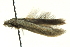  ( - BIOUG02120-D11)  @13 [ ] CreativeCommons - Attribution (2012) CBG Photography Group Centre for Biodiversity Genomics