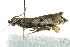  ( - BIOUG02120-D12)  @12 [ ] CreativeCommons - Attribution (2012) CBG Photography Group Centre for Biodiversity Genomics