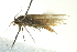  ( - BIOUG02120-E11)  @12 [ ] CreativeCommons - Attribution (2012) CBG Photography Group Centre for Biodiversity Genomics