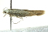  ( - BIOUG02120-F05)  @12 [ ] CreativeCommons - Attribution (2012) CBG Photography Group Centre for Biodiversity Genomics