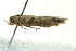  ( - BIOUG02120-F06)  @12 [ ] CreativeCommons - Attribution (2012) CBG Photography Group Centre for Biodiversity Genomics
