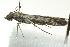  ( - BIOUG02120-G05)  @13 [ ] CreativeCommons - Attribution (2012) CBG Photography Group Centre for Biodiversity Genomics