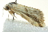  ( - BIOUG02120-G10)  @14 [ ] CreativeCommons - Attribution (2012) CBG Photography Group Centre for Biodiversity Genomics