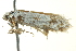  ( - BIOUG02120-H06)  @12 [ ] CreativeCommons - Attribution (2012) CBG Photography Group Centre for Biodiversity Genomics