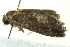  ( - BIOUG02120-H10)  @12 [ ] CreativeCommons - Attribution (2012) CBG Photography Group Centre for Biodiversity Genomics