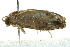  ( - BIOUG02122-B06)  @12 [ ] CreativeCommons - Attribution (2012) CBG Photography Group Centre for Biodiversity Genomics