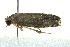  ( - BIOUG02122-B08)  @12 [ ] CreativeCommons - Attribution (2012) CBG Photography Group Centre for Biodiversity Genomics