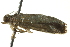  ( - BIOUG02122-C06)  @12 [ ] CreativeCommons - Attribution (2012) CBG Photography Group Centre for Biodiversity Genomics