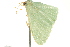  ( - BIOUG02122-G06)  @14 [ ] CreativeCommons - Attribution (2012) CBG Photography Group Centre for Biodiversity Genomics