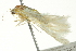  ( - BIOUG02129-A10)  @12 [ ] CreativeCommons - Attribution (2012) CBG Photography Group Centre for Biodiversity Genomics