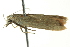  ( - BIOUG02129-C09)  @13 [ ] CreativeCommons - Attribution (2012) CBG Photography Group Centre for Biodiversity Genomics