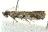  ( - BIOUG02129-H07)  @12 [ ] CreativeCommons - Attribution (2012) CBG Photography Group Centre for Biodiversity Genomics