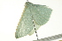  ( - BIOUG02214-D11)  @13 [ ] CreativeCommons - Attribution (2012) CBG Photography Group Centre for Biodiversity Genomics