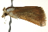  ( - BIOUG02214-F01)  @12 [ ] CreativeCommons - Attribution (2012) CBG Photography Group Centre for Biodiversity Genomics