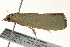  ( - BIOUG02214-H09)  @13 [ ] CreativeCommons - Attribution (2012) CBG Photography Group Centre for Biodiversity Genomics