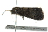  ( - BIOUG02214-H10)  @13 [ ] CreativeCommons - Attribution (2012) CBG Photography Group Centre for Biodiversity Genomics