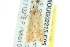  ( - BIOUG02215-E05)  @14 [ ] CreativeCommons - Attribution (2012) CBG Photography Group Centre for Biodiversity Genomics