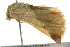 ( - BIOUG02217-A12)  @12 [ ] CreativeCommons - Attribution (2012) CBG Photography Group Centre for Biodiversity Genomics