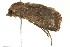  ( - BIOUG02217-F09)  @13 [ ] CreativeCommons - Attribution (2012) CBG Photography Group Centre for Biodiversity Genomics
