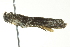  ( - BIOUG02218-B12)  @12 [ ] CreativeCommons - Attribution (2012) CBG Photography Group Centre for Biodiversity Genomics