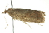  ( - BIOUG02219-A02)  @12 [ ] CreativeCommons - Attribution (2012) CBG Photography Group Centre for Biodiversity Genomics