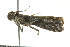  ( - BIOUG02219-G02)  @12 [ ] CreativeCommons - Attribution (2012) CBG Photography Group Centre for Biodiversity Genomics