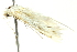  ( - BIOUG02220-G01)  @13 [ ] CreativeCommons - Attribution (2012) CBG Photography Group Centre for Biodiversity Genomics