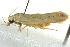  ( - BIOUG02242-E11)  @13 [ ] CreativeCommons - Attribution (2012) CBG Photography Group Centre for Biodiversity Genomics